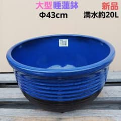 新品 大型 ∅43 陶器 睡蓮鉢 メダカ鉢 手造り ラピスブルー 濃紺 MDB①