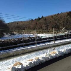 まるさん専用のサムネイル