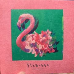 Flamingo/TEENAGE RIOT(フラミンゴ盤)のサムネイル