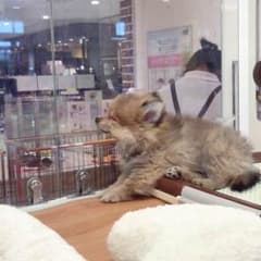 nao様専用ページのサムネイル