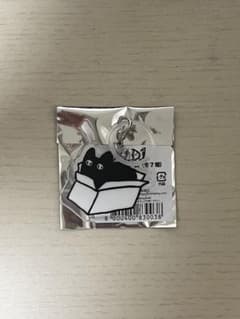 ALD1 めじるしチャーム サンヒョンのサムネイル