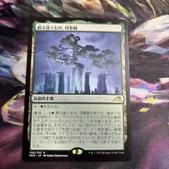 耐え抜くもの、母聖樹　英語版FOIL【8/29】 MTG】耐え抜くもの、母聖樹 ① - メルカリ