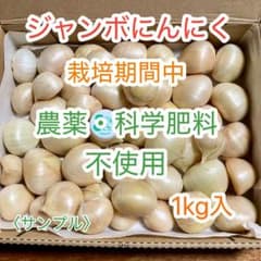 ジャンボにんにく 農薬・科学肥料不使用 1kg - メルカリ