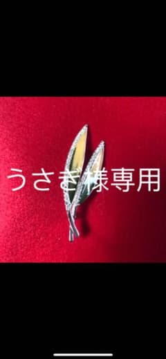 うさぎ様専用のサムネイル