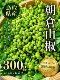 鳥取県産 朝倉山椒 300g 実山椒 山椒の実 無農薬 - メルカリ