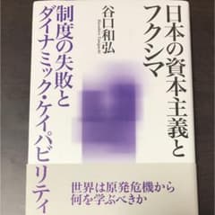 日本の資本主義とフクシマ : 制度の失敗とダイナミック・ケイパビリティのサムネイル