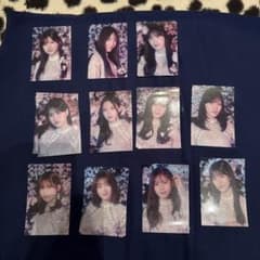 櫻坂46 サクコレ　参加賞　ステッカー12枚セットのサムネイル