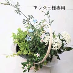 キッシュ様専用　花寄せ植え　花かご　アレンジメント　花プレゼントのサムネイル