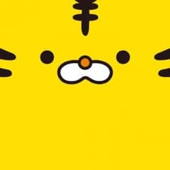 yoshi kazuzoe 様専用のサムネイル