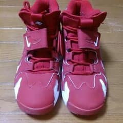 NIKE AIR DT MAX 96のサムネイル
