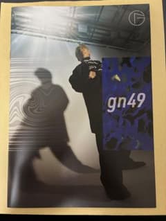 GREEN NERVE 49 平沢進 会報のサムネイル