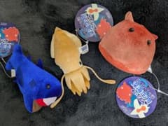 新品】わくわくの海 深海生物 ぬいぐるみ 3種セット - メルカリ