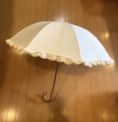 CELINE セリーヌトリオンフ マカダム総柄 日傘 - メルカリ