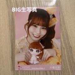 大場花菜 ビッグ生写真のサムネイル