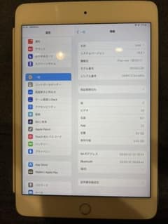 iPad mini 5 64GB シルバー　wifi 2019年モデル　箱付きのサムネイル