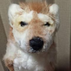 わんこ　大型ぬいぐるみのサムネイル