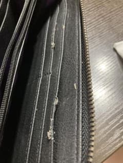 財布確認用のサムネイル
