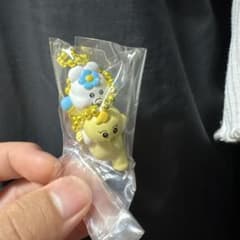 んぽちゃむ きみまろ チョコがけビスケット マスコット シークレットのサムネイル