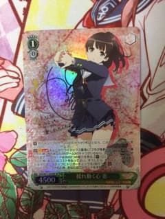 ヴァイスシュヴァルツ 揺れ動く心 恵 spのサムネイル