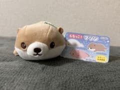 カワウソ ぬいぐるみのサムネイル