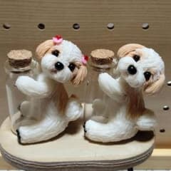 RHI様☆オーダーページ☆シーズー☆のサムネイル