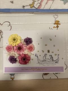 レターフラワーA ファンタジースプリングスホテル 宿泊者限定