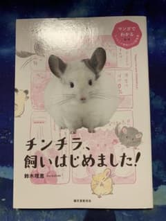 チンチラ、飼いはじめました!のサムネイル