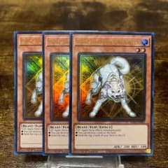 遊戯王【英語版】ライトロードハンター・ライコウ ウルトラ 3枚セット 