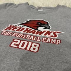 古着　NFL Tシャツ　GILDANのサムネイル