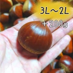 2【熊本県産】生栗 3L〜2L 1kg＋200gのサムネイル