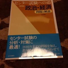 センター試験への道 政治経済 問題と解説のサムネイル