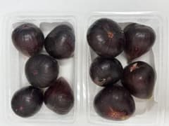 黒イチジク ビオレソリエス 2パック 9/24朝採　栽培期間中農薬不使用のサムネイル