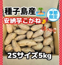安納芋こがね2Sサイズ5kg(種子島産)のサムネイル