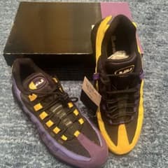 Air Max 95 レブロン HOME TEAMのサムネイル