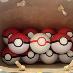 モンスターボール10個 プレミアボール1個 ポケパークカントー限定