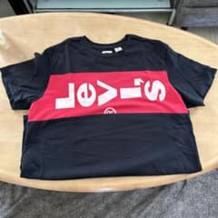 値下げ　メンス　リーバイス　Tシャツ　XL とL 2枚のサムネイル