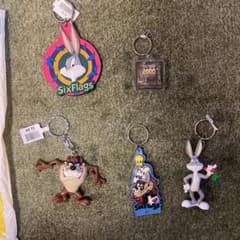 ワーナーブラザーズ SixFlags キーホルダー - メルカリ
