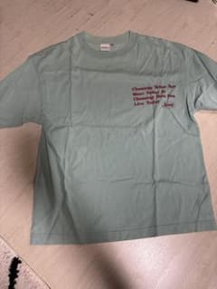 MOUSSY ミントグリーン Tシャツのサムネイル