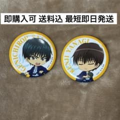 テニプリ テニスの王子様 柳蓮二 缶バッジ まとめ売り 痛バ ネームバッジ m25769929151_1.jpg?1730309309