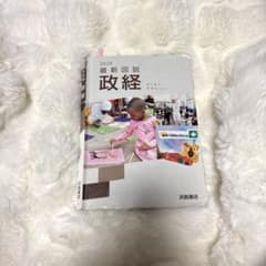 2024最新図説 政経のサムネイル