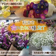 秋まき：花の種3種類セット！寄植えにも♬のサムネイル