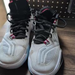Li-Ning Way of Wade icebloodバスケットボールシューズ - メルカリ