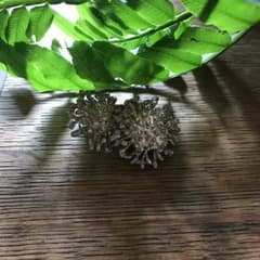カオル ピアスのサムネイル