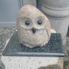 フクロウのサムネイル