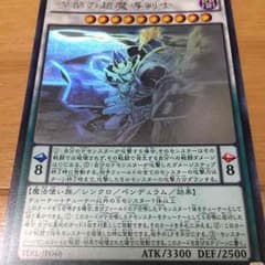 即購入可 ニルヴァーナハイパラディン ホロのサムネイル