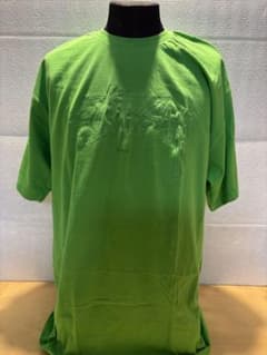 Stussy TOKYO ロゴ刺繍 Tシャツ グリーンのサムネイル