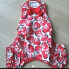 いちご　ロンパース♡パリエロのサムネイル