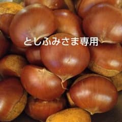 としふみさま専用　ご予約丹波栗　１kgのサムネイル