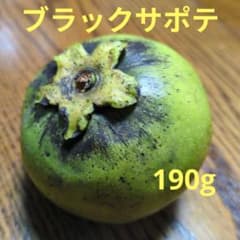 ブラックサポテ　190gのサムネイル