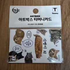 【韓国限定】 交通カード　Tmoney カード　ARTBOX 限定　猫